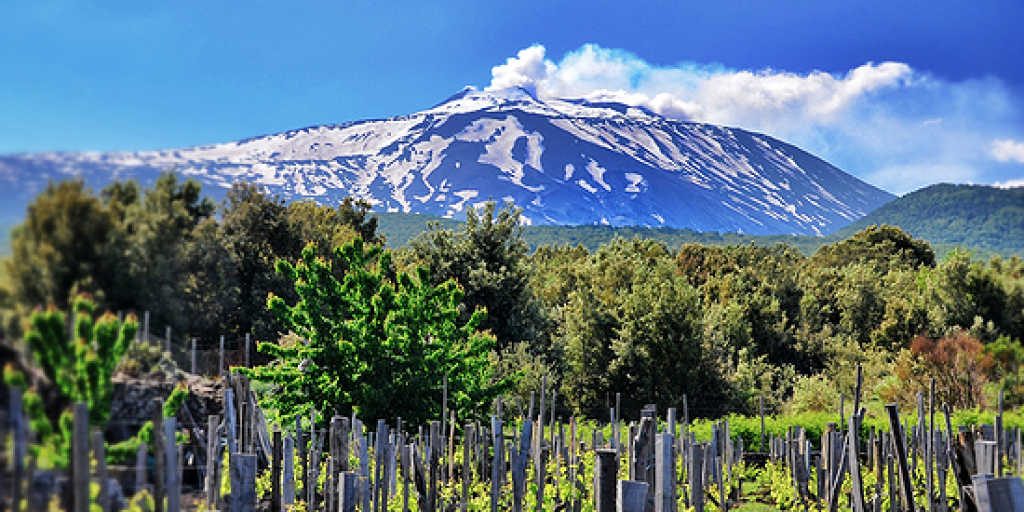 etna wine tour