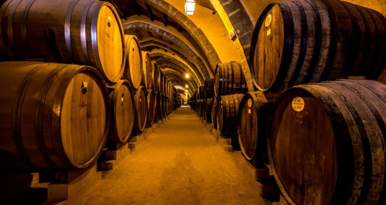 Marsala wine barrels